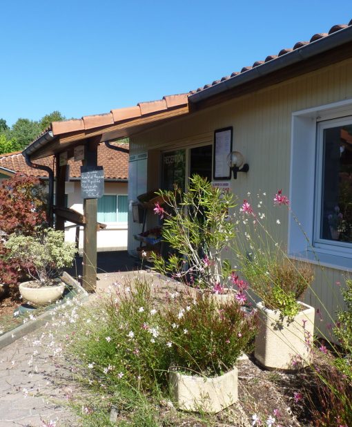 Accueil du Camping Accueil du Camping